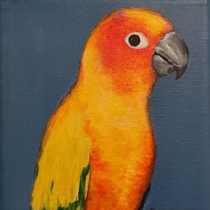 Meet your Posher, Jacob